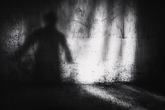 Sinister silhouettes loom on a shadowy backdrop, setting an unsettling tone ideal for a chilling poster design against a stark white canvas.