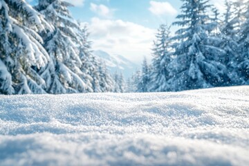 Fototapeta premium Winter season background in white snow landscape