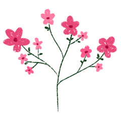 cherry blossom branch