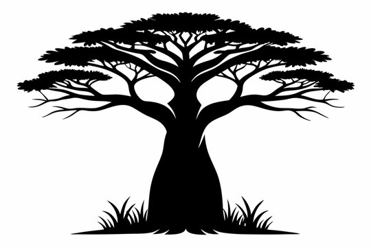 
Baobab Tree Silhouette, Baobab Tree Vector Illustration, Baobab Tree Vintage Logo Vector
