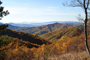 Golden autumn foliage drapes the mountains in a breathtaking view at sunset in the wilderness
