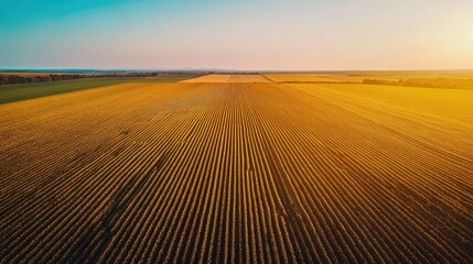 Fototapeta premium Aerial View of Vast Agricultural Fields at Sunset