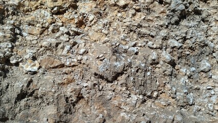 Soil Profile of Limestone with Clay, Rocks, and Sand, Layered Formation from Natural Processes, Geological Cross-Section Display. Gold and Minerals Mining Site 