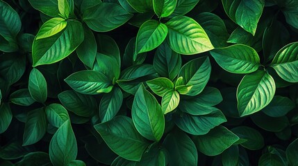 Lush Green Leaves Texture Background
