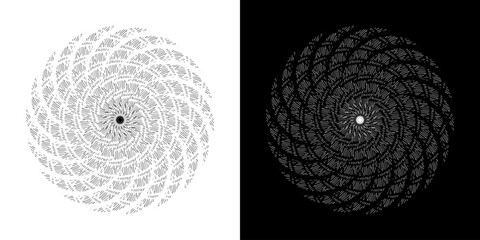 Abstract background with abstract line pattern in circles. Spiral art design as a logo or icon. A black figure on a white background and the same white figure on a black side. Mandala design with line