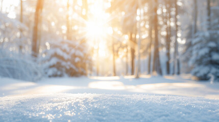 Fototapeta premium Peaceful snowy forest with sunbeams breaking through in a winter wonderland