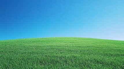 Obraz premium Vibrant Green Field Under Clear Blue Sky