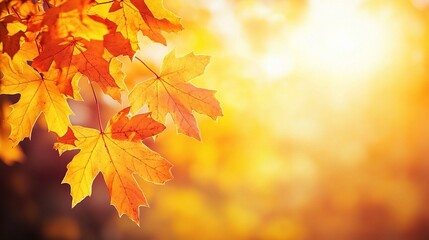 Fototapeta premium Vibrant Autumn Leaves Against a Warm Background