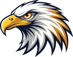 Fototapeta premium american bald eagle