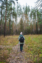 An intrepid explorer is venturing into a serene and tranquil forest trail that is surrounded by majestic and tall pine trees all around