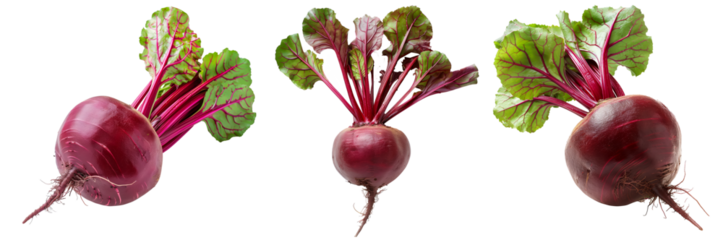Set of Fresh red beetroot with its green leaves isolated against a white background.