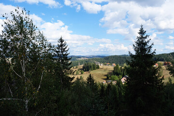Aerial view of mountain forest in Serbia on a summer day