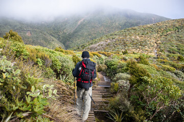 Fototapeta premium Hiking Pouakai circuit, walking on boardwalk. Clouds drifting over the mountains. Egmont National park. New Zealand.