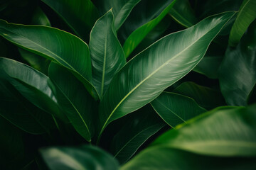 Obraz premium Close-up of vibrant green leaves showcasing their detailed texture