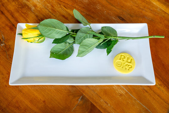 R U OK Day Australia, fundraising morning tea, yellow themed biscuit, mental health depression advocacy, suicide prevention awareness