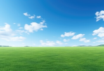 Fototapeta premium Serene Green Meadow Under Blue Sky