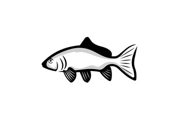 Carp Fish Graphic Logo Animal Water Aquatic Symbol Design