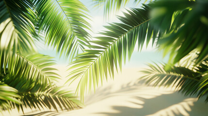 Palm Fronds in Sunlight