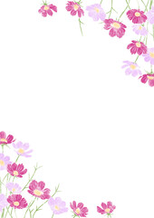 Fototapeta premium ピンクのコスモスの背景フレーム