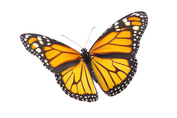 Naklejka premium Close-up of a Yellow and Black Butterfly with White Spots