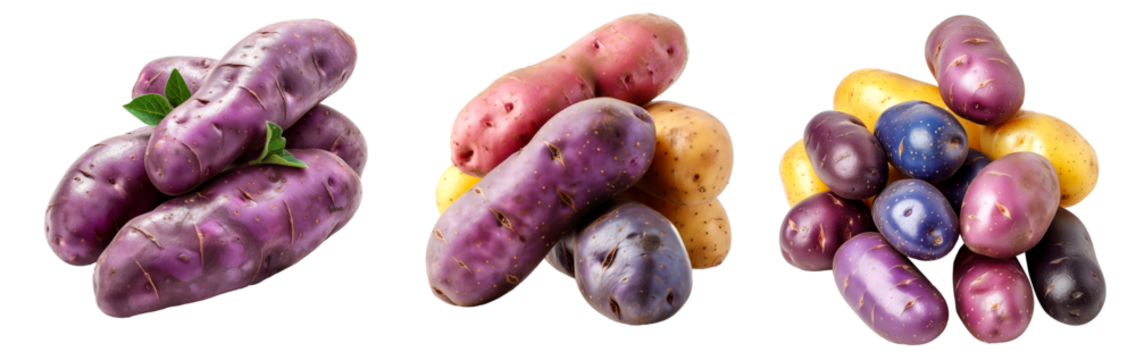 Fingerling potatoes isolated on a white background