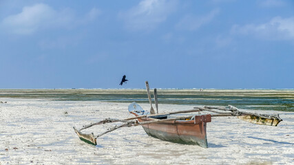  traditional triangular sailboats in Zanzibar