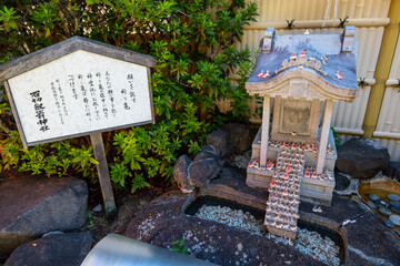 石切劔箭神社の願いを託す祈り亀（2024年9月撮影）