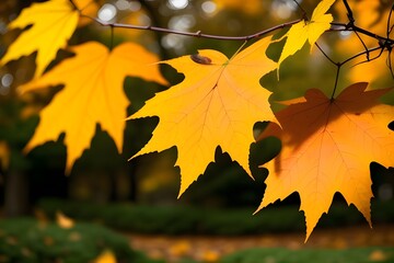 Fototapeta premium ia generated. autumn leaves on the tree