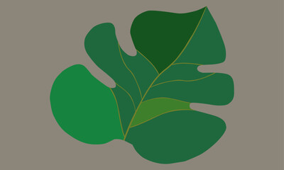 Biomorphism simple leaves 4 holes