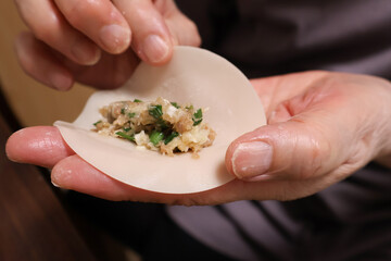 餃子の皮に餡を包む高齢女性の手元
