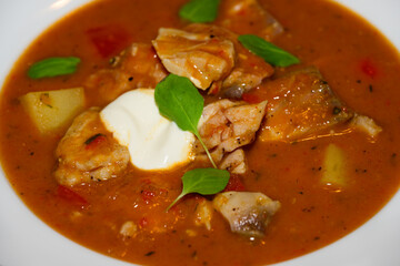 Pannonian Fish Goulash or Carp Porkolt with Sour Cream, Potatoes and Red Pepper Garnished with Marjoram