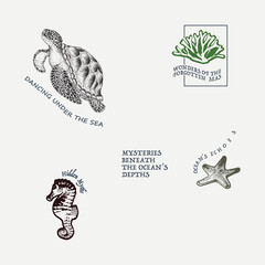 Free Vector lettering and under the sea Design.