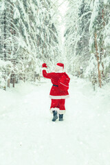 Santa Claus with a sack of Christmas gifts walks through a snowy forest.