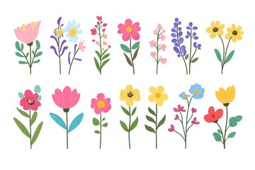 flat style colorful flowers and floral elements collection on a white background