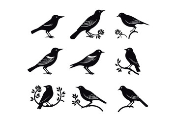 Fototapeta premium Set of black bird silhouettes. Vector elements