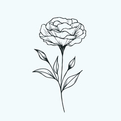 set of contour spring flowers eustoma
line art floral, leaves
black and white illustration lisianthus
set of decorative elements of plants Eschscholzia,
