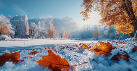 Forest, Autumn leaves, Frost adheres to Autumn leaves, Temperatures Drop, Snow.