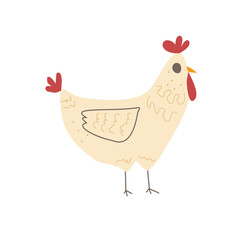 Chicken isolated on white background. Poultry hen character. Vector hand drawn flat illustration