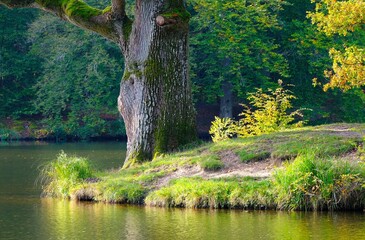 Herbst am Bärensee bei Stuttgart