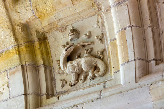  Plafond &agrave; caisson avec le symbole de la Salamandre . 
 Chateau de Chambord. Loir et Cher . Centre Val de Loire. France