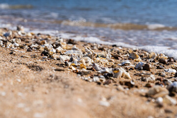 small surf on the beach