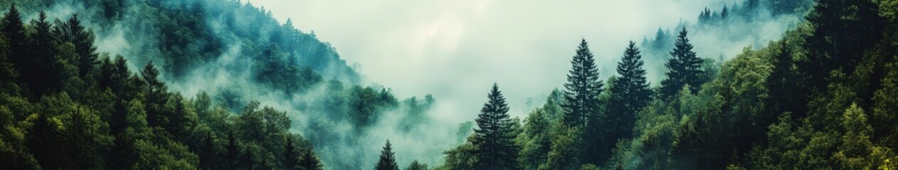 Obraz premium Misty morning fog blankets the peaceful forest at dawn