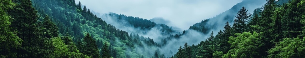 Misty morning in a lush forest landscape with fog rolling over mountains