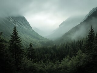 Misty morning in a tranquil valley surrounded by lush mountains