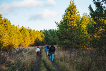 A group of people can be seen leisurely walking down a rustic dirt road that winds through the beautiful woods, surrounded by trees and the serenity of nature all around them