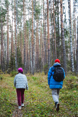 A man and a woman are leisurely walking together through a dense and beautiful forest, surrounded...