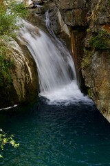 Fototapeta premium waterfall in the forest