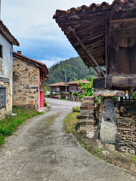 Espinareu or Espinaredo village is famous by its horreos, typical barns in Asturias, Pilo&ntilde;a, Spain