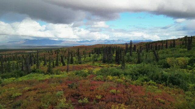 Die farbenfrohe Landschaft auf dem Old Denali Highway im Herbst