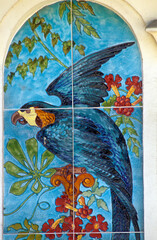 faience Boulanger, Cacatoès noir,.Probosciger aterrimus, Palm Cockatoo © JAG IMAGES